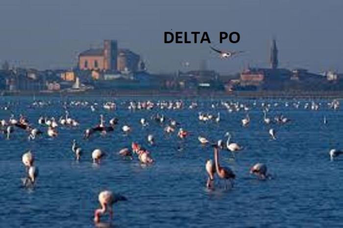 Mipro Mobilhome Lido di Spina Εξωτερικό φωτογραφία